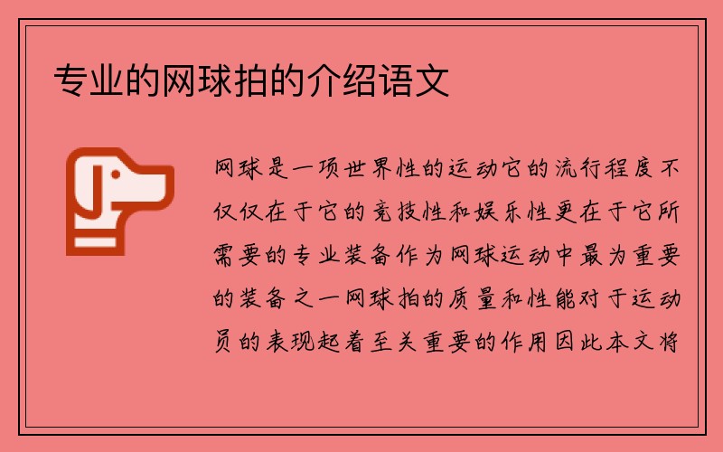 专业的网球拍的介绍语文