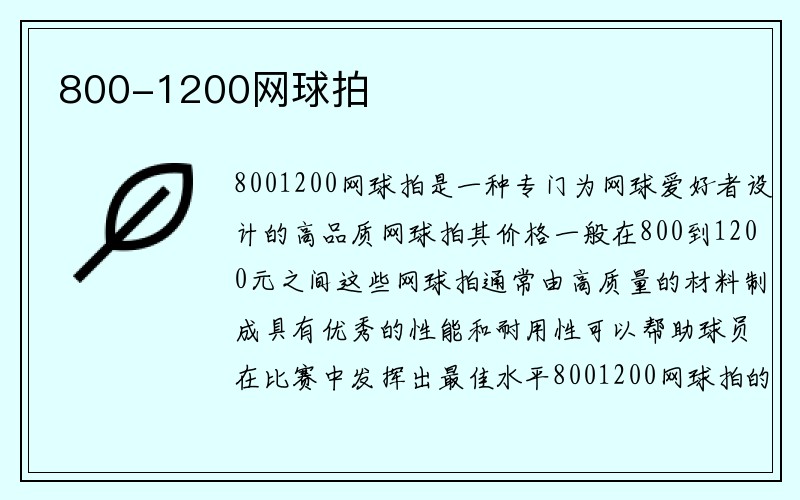 800-1200网球拍