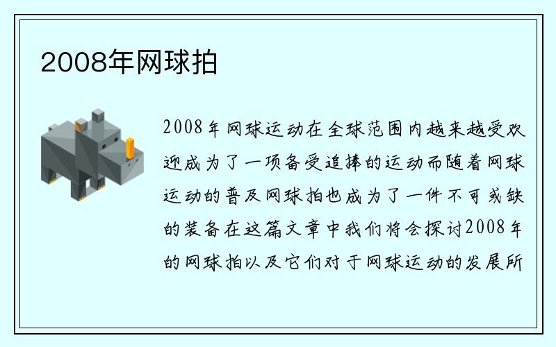 2008年网球拍