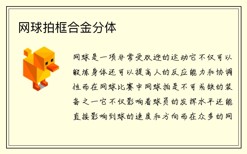 网球拍框合金分体