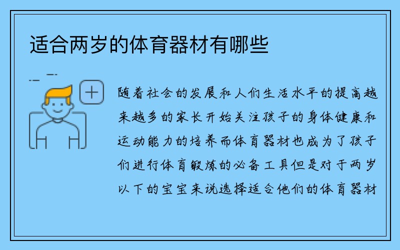 适合两岁的体育器材有哪些