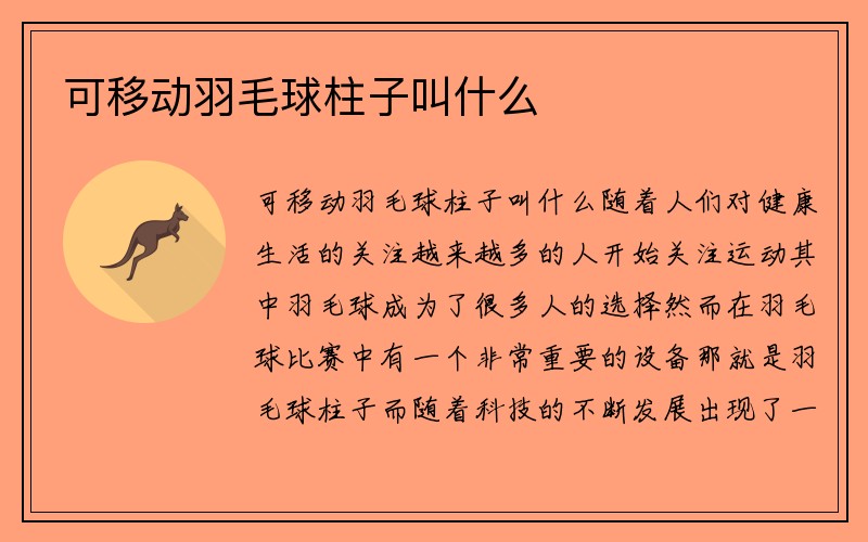 可移动羽毛球柱子叫什么